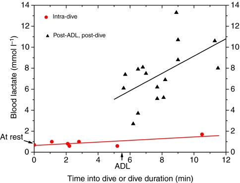 Fig. 10.