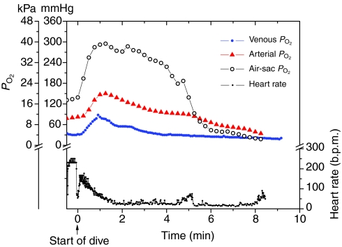 Fig. 9.