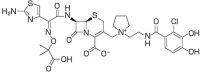 FIG 1