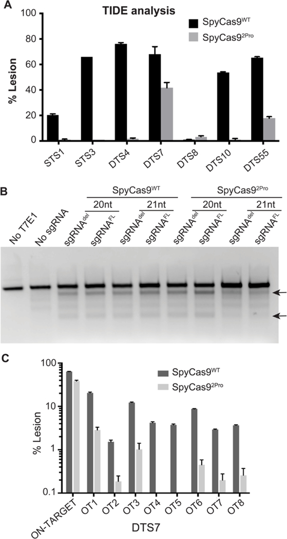 Figure 6.