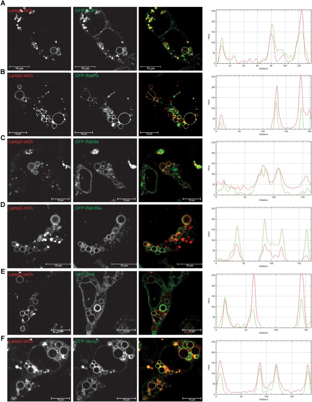 FIGURE 3