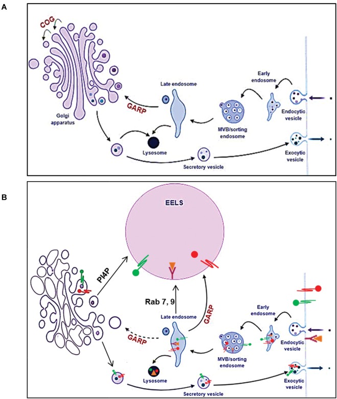 FIGURE 12