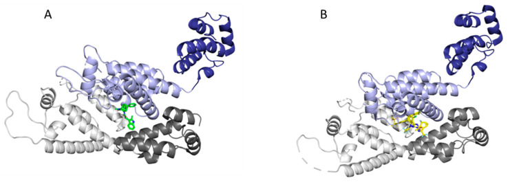 Figure 12