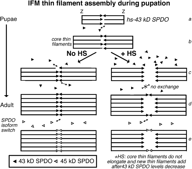 Figure 9.