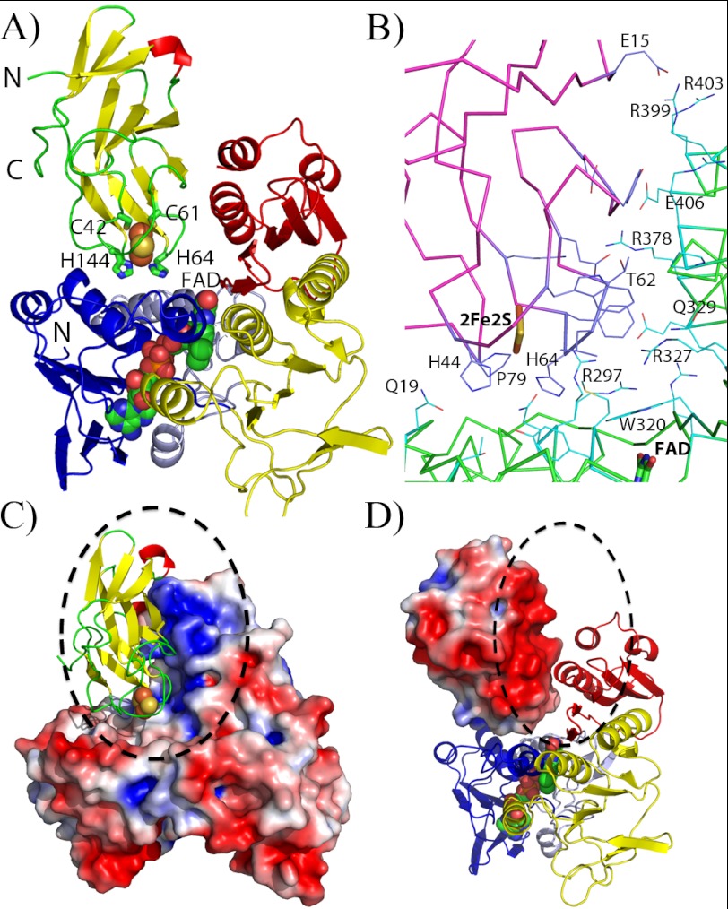 FIGURE 4.