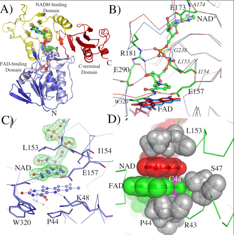 FIGURE 3.