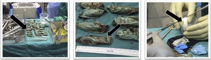 Fig. 3