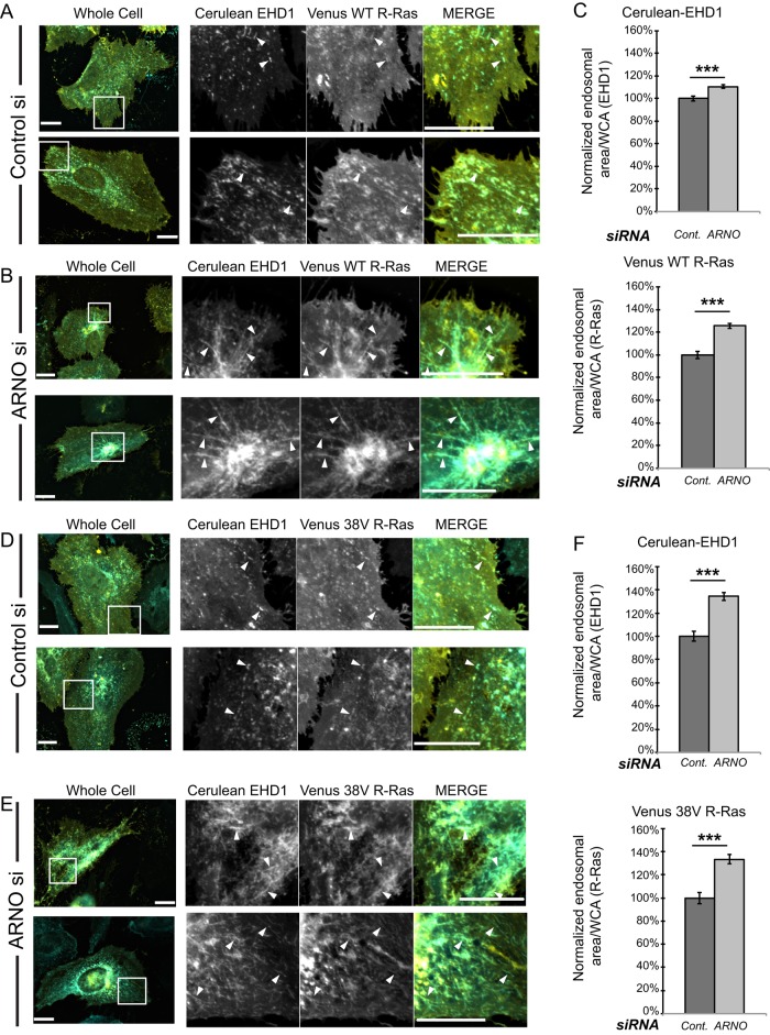 FIGURE 4: