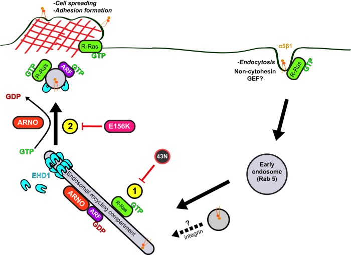 FIGURE 9: