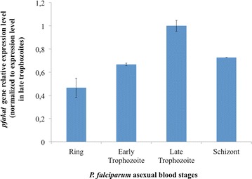 Fig. 2