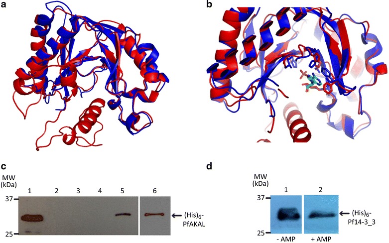 Fig. 8