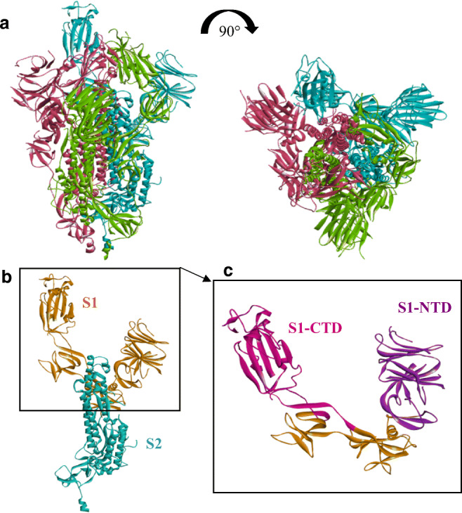 Fig. 1