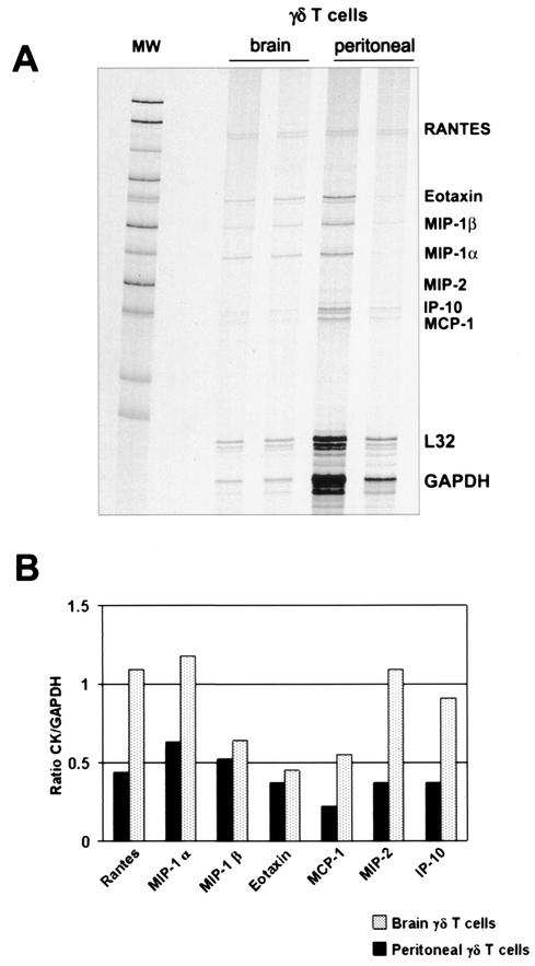 FIG. 5.