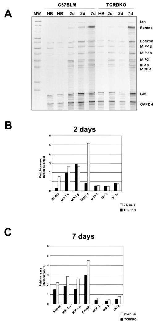 FIG. 2.