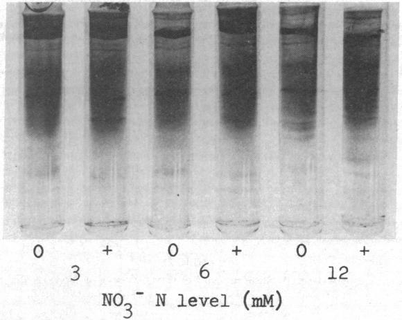 graphic file with name pnas00678-0134-a.jpg