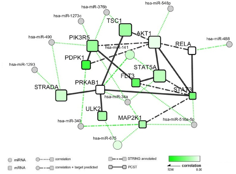 Fig 2