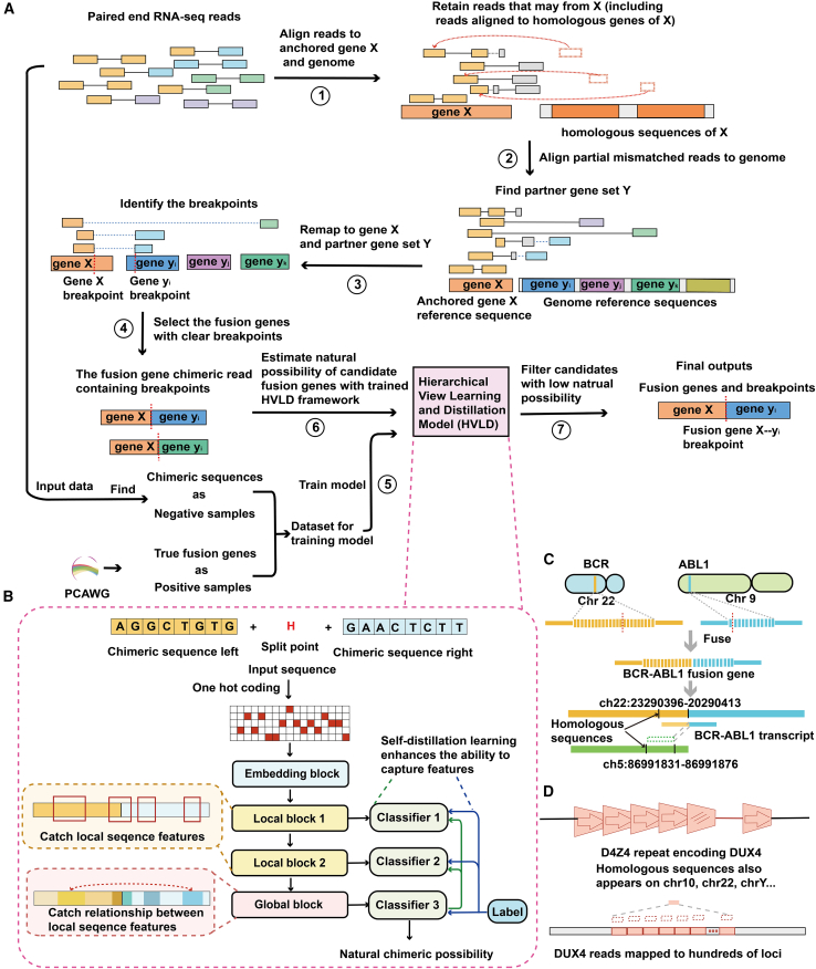 Figure 1