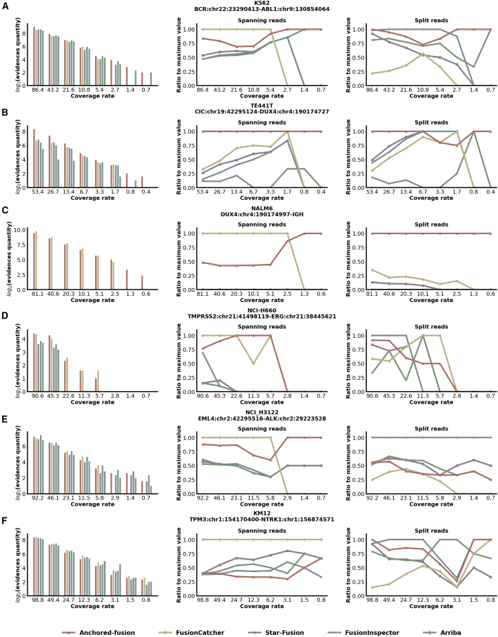 Figure 4