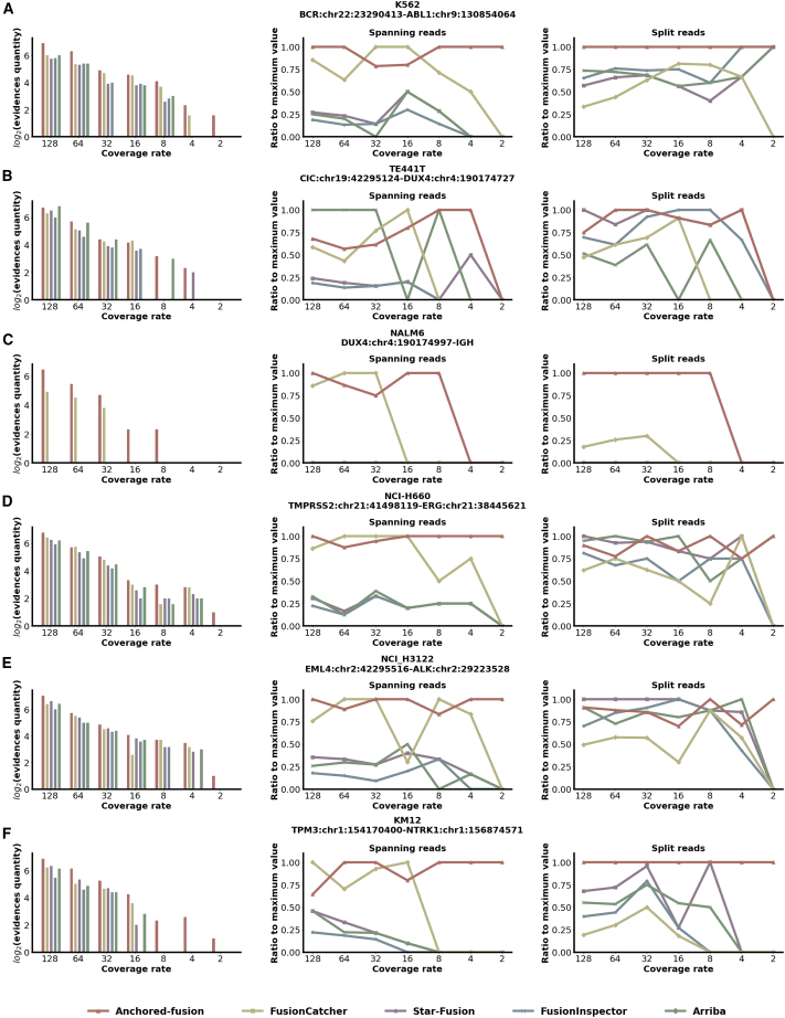 Figure 3