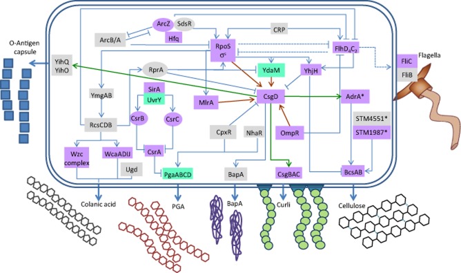 Fig 1