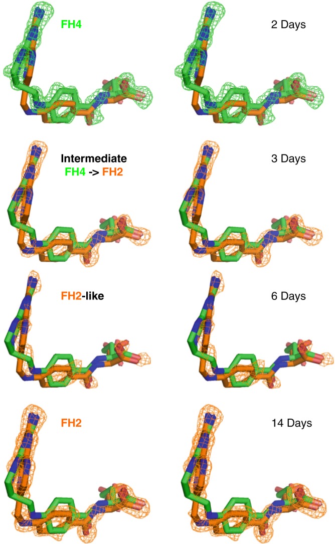 Fig. 3