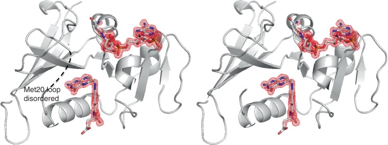 Fig. 10