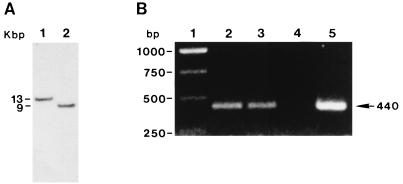 FIG. 5