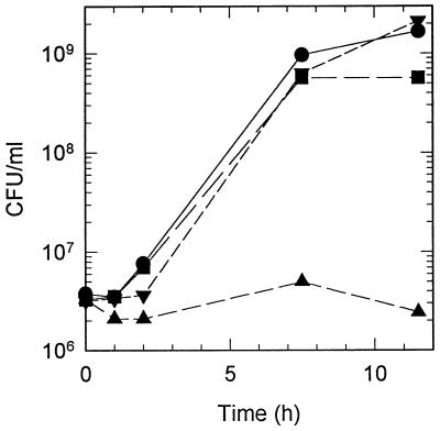 FIG. 3