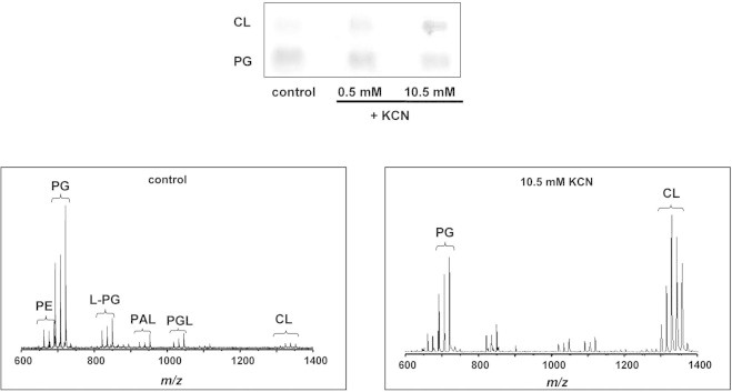 Fig. 4