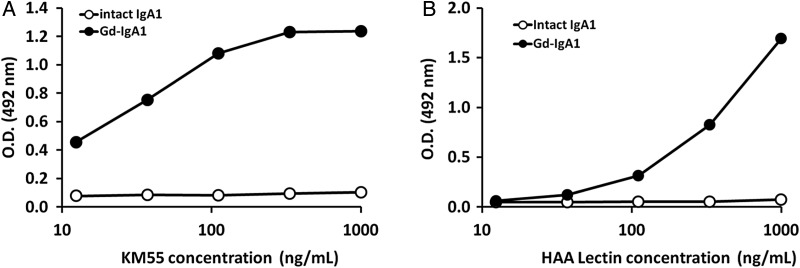 FIGURE 1: