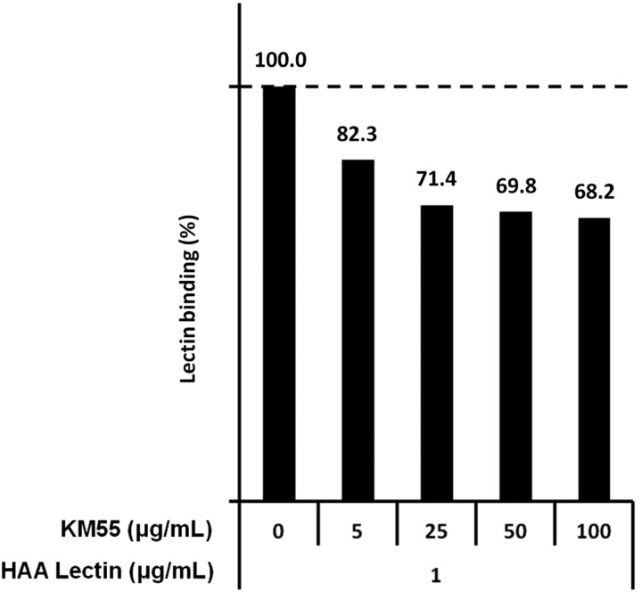 FIGURE 4: