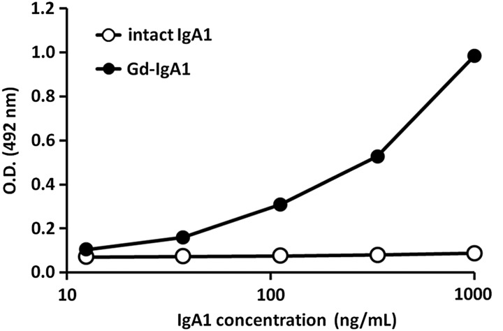 FIGURE 2: