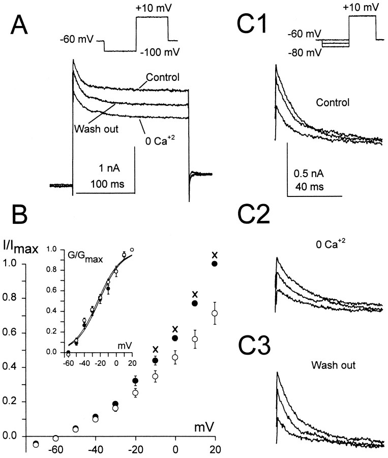 Fig. 7.