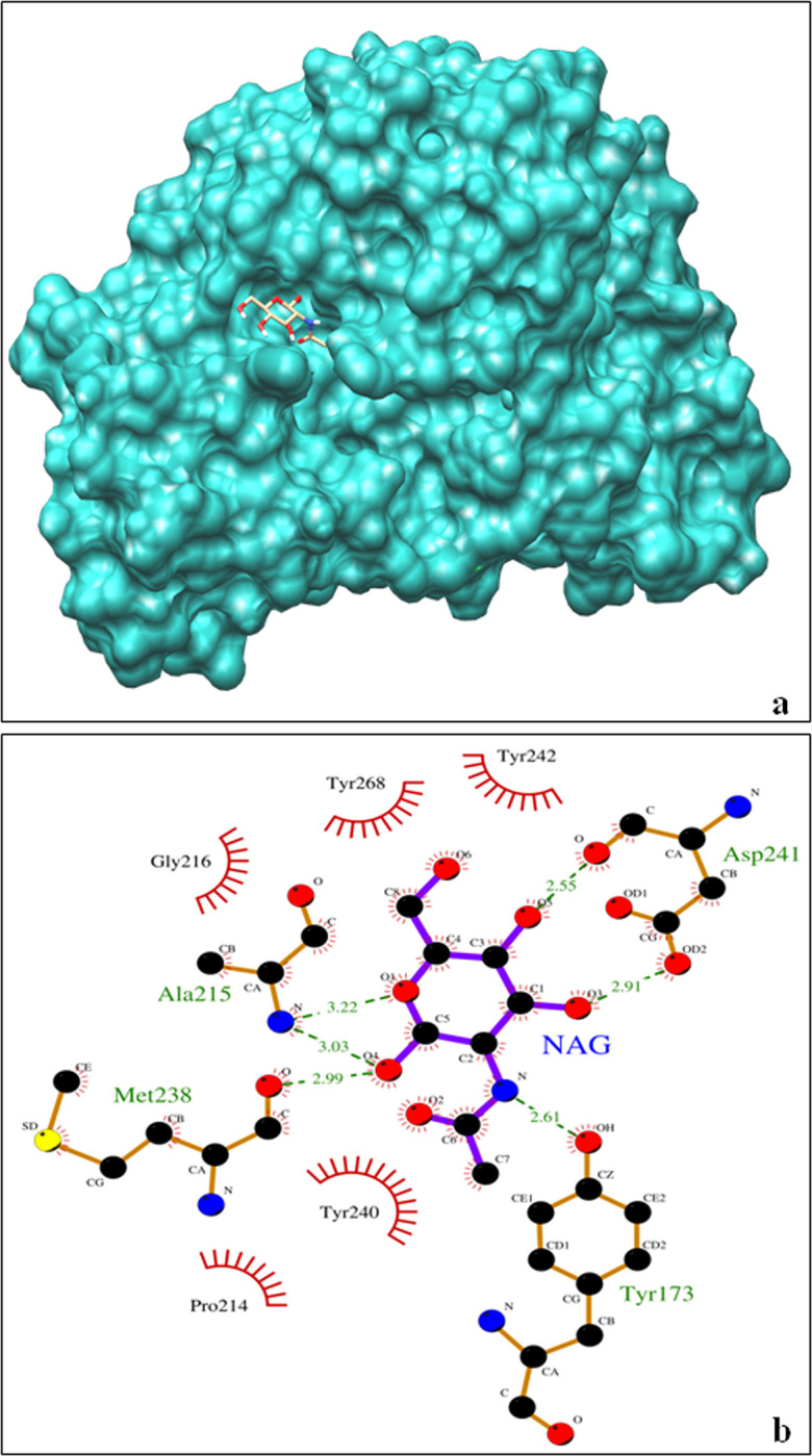 Fig 6