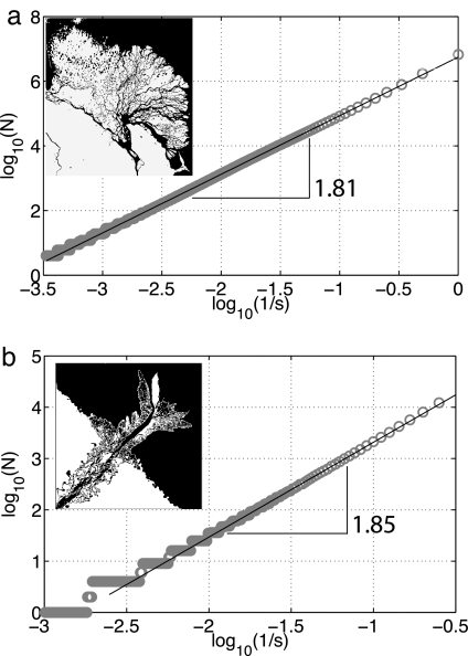 Fig. 7.