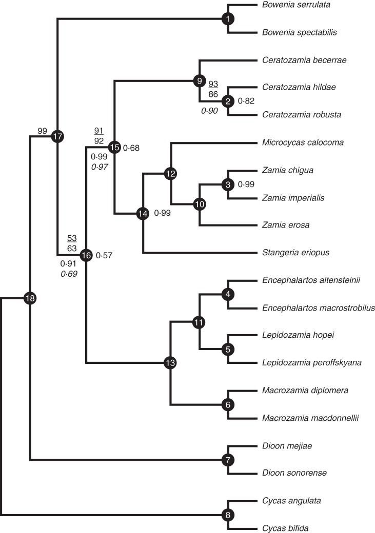 Fig. 3.