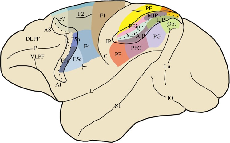 Figure 1.