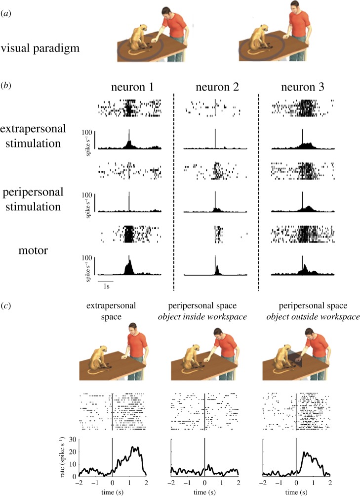 Figure 3.