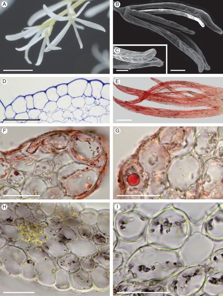 Fig. 10.