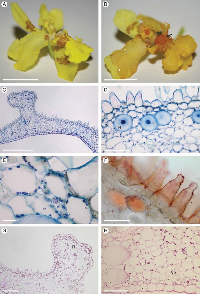 Fig. 4.