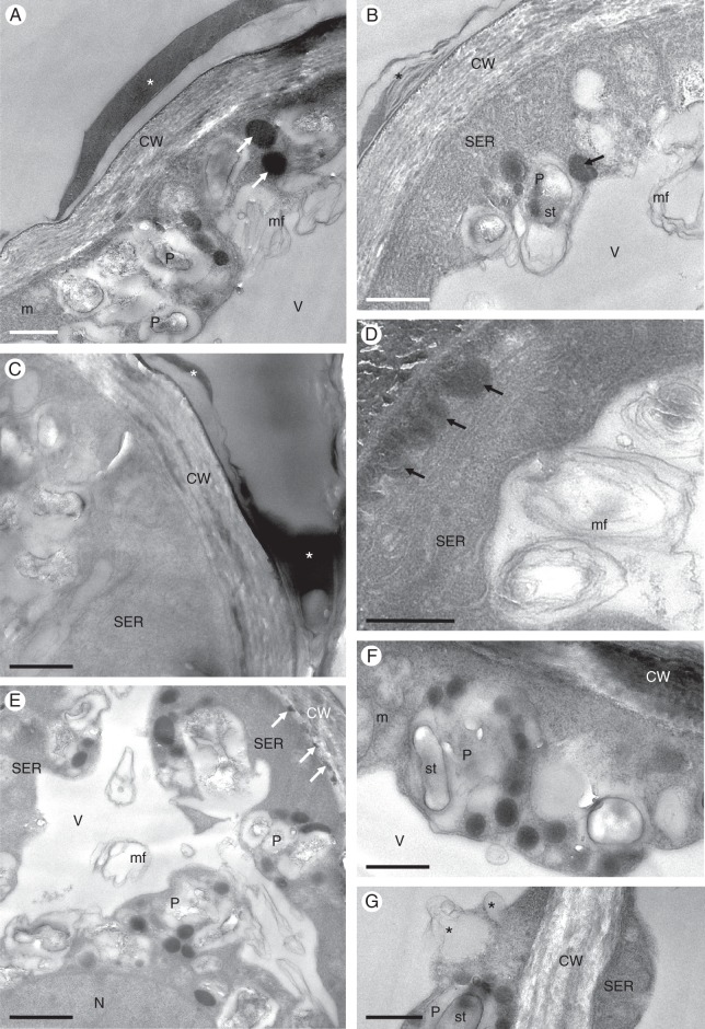 Fig. 3.