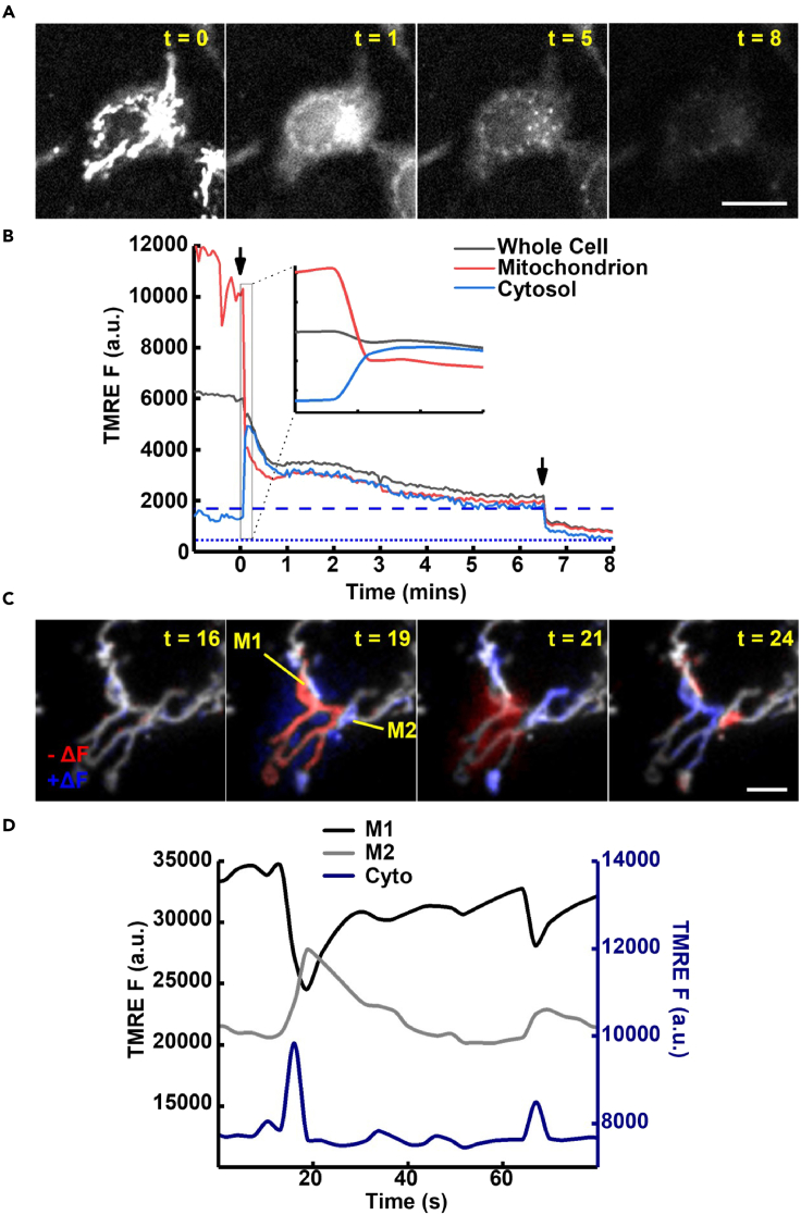 Figure 7