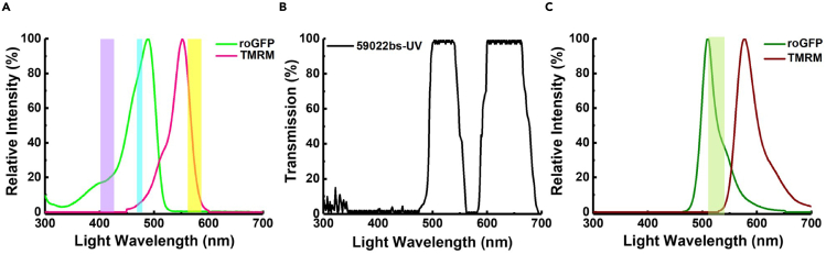 Figure 2