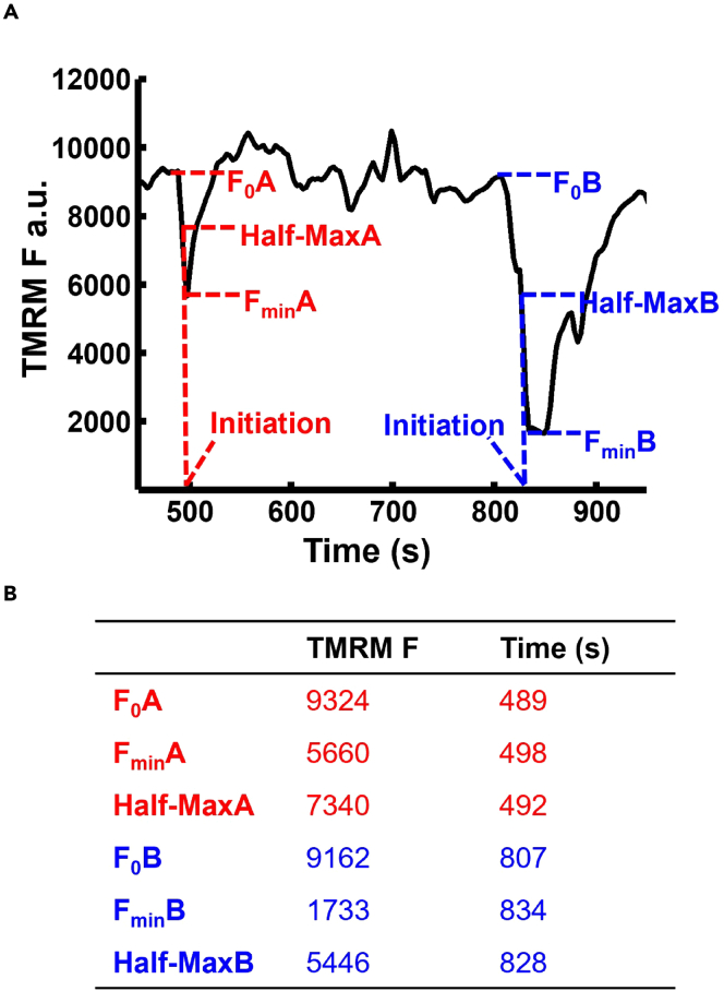 Figure 5