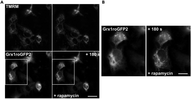 Figure 3