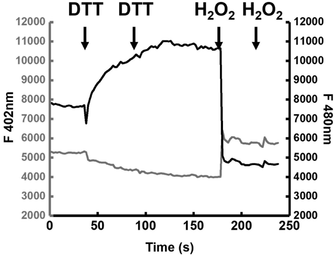 Figure 4