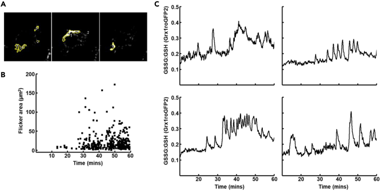 Figure 6