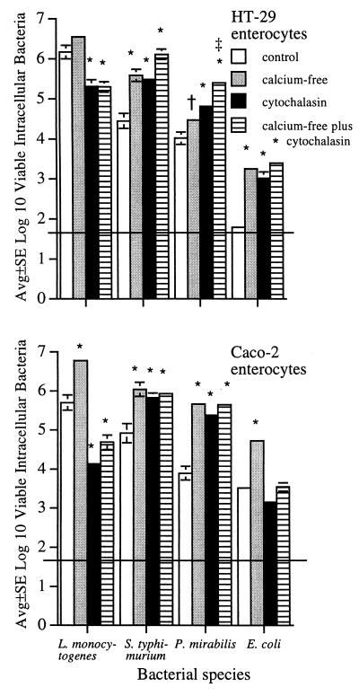 FIG. 5