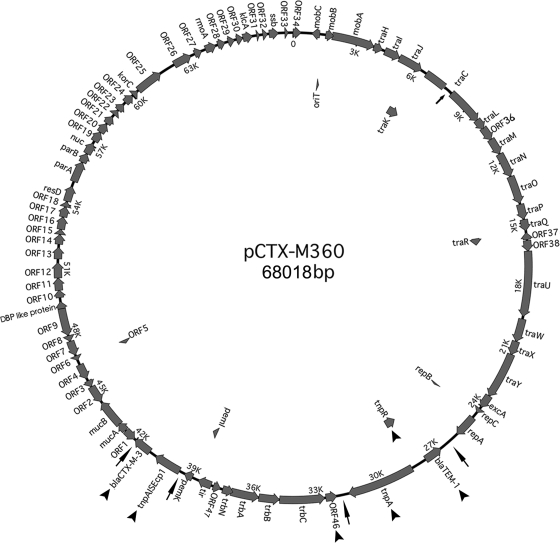 FIG. 1.