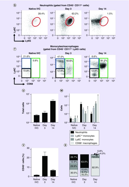 Figure 4. 